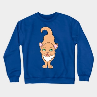 Adorable Buff Orange Ginger Kitten Crewneck Sweatshirt